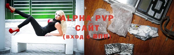 крисы Богородицк