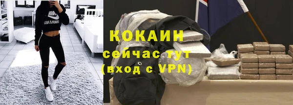 крисы Богородицк