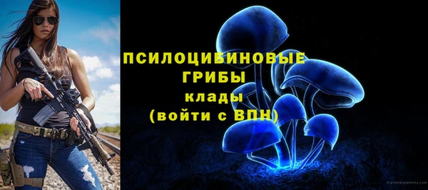 кокаин Белокуриха