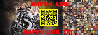 шишки Кимры