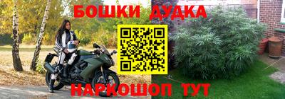 шишки Кимры