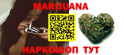 шишки Кимры