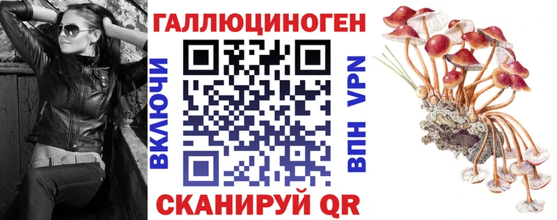 Галлюциногенные грибы GOLDEN TEACHER как найти Луховицы