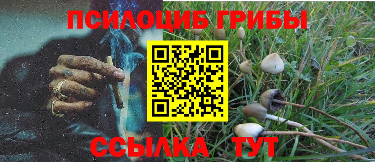 Псилоцибиновые грибы мицелий Луховицы