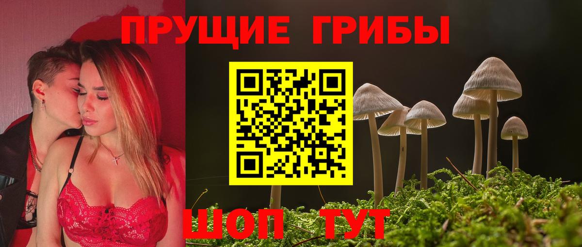 Луховицы  Псилоцибиновые грибы GOLDEN TEACHER  закладки  Вход с VPN  Галлюциногенные грибы GOLDEN TEACHER 